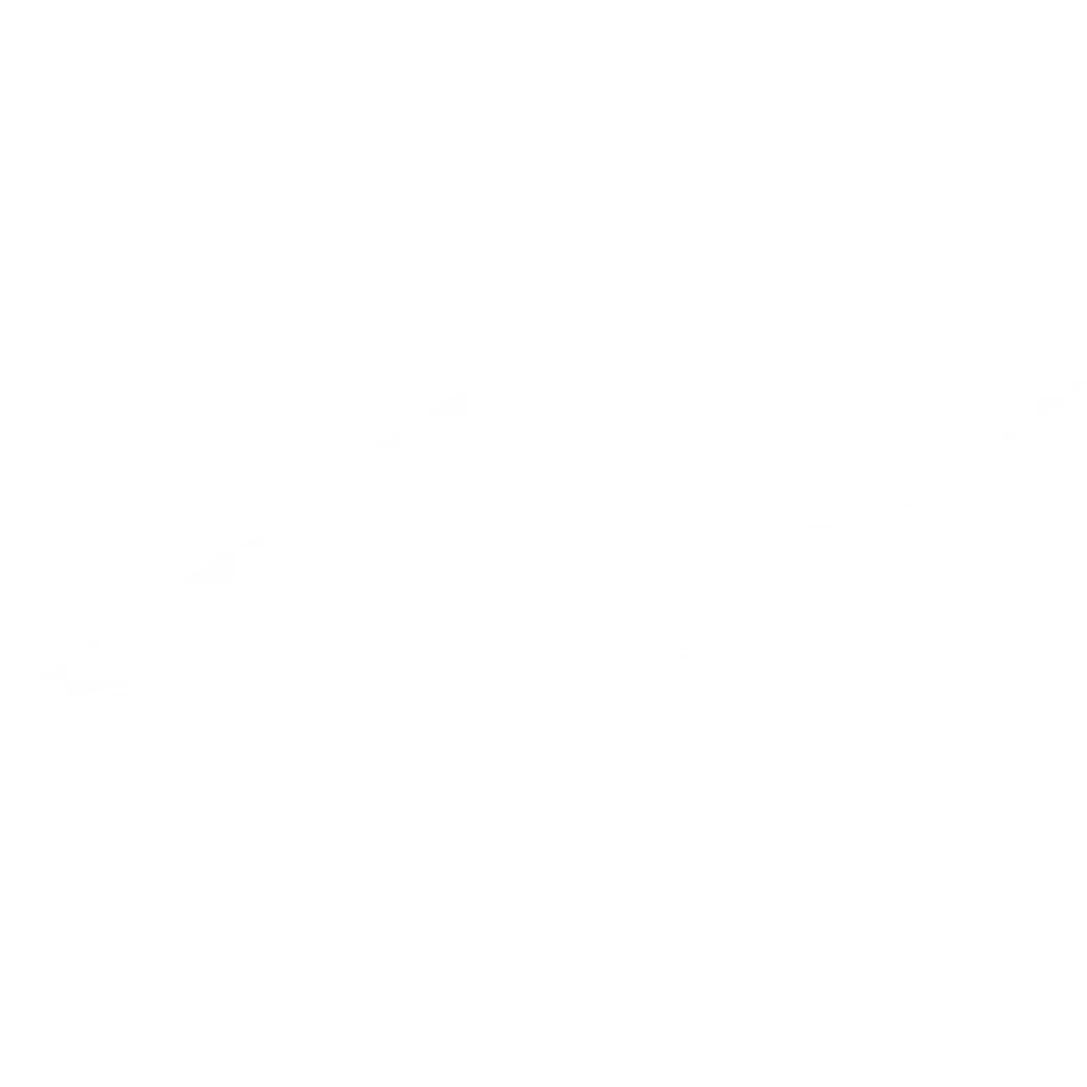 Fused Sport
